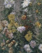 Gustave Caillebotte White and yellow chrysanthemum France oil painting reproduction